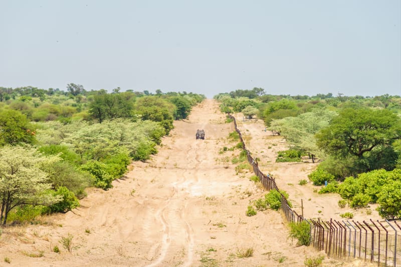 Cutline road